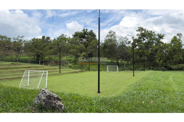 Lotes, Venta, Palmira - $690.000.000