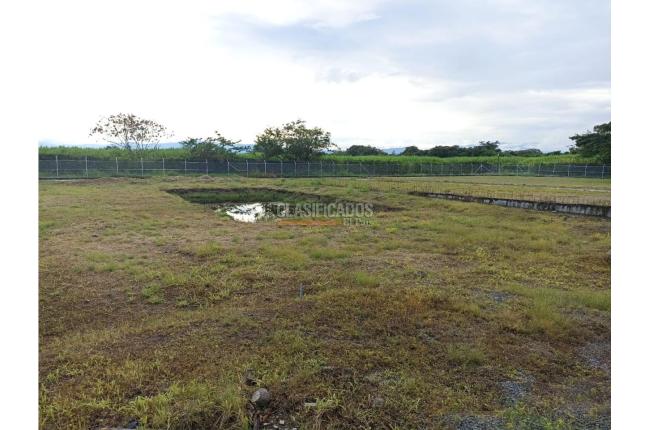 Lotes, Venta, Ginebra - $1.000.000.000