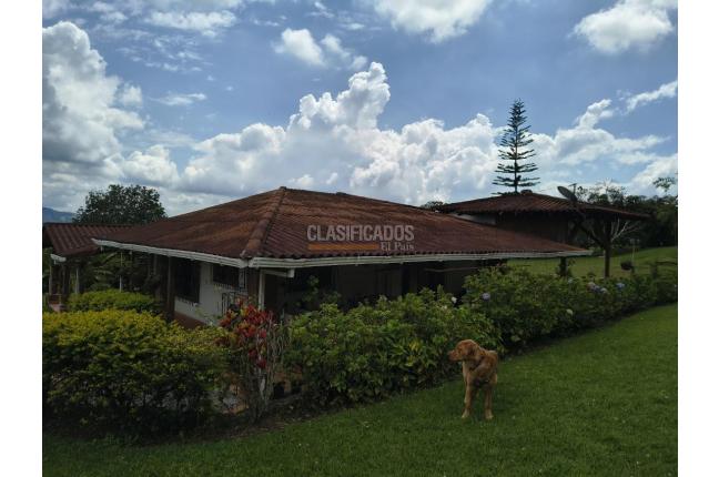 Fincas y Casas Campestres, Venta, Calima (Darién) - $720.000.000