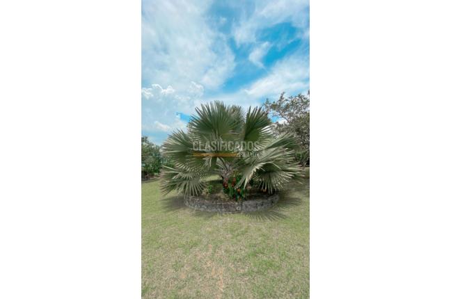 Fincas y Casas Campestres, Venta, Calima (Darién) - $720.000.000