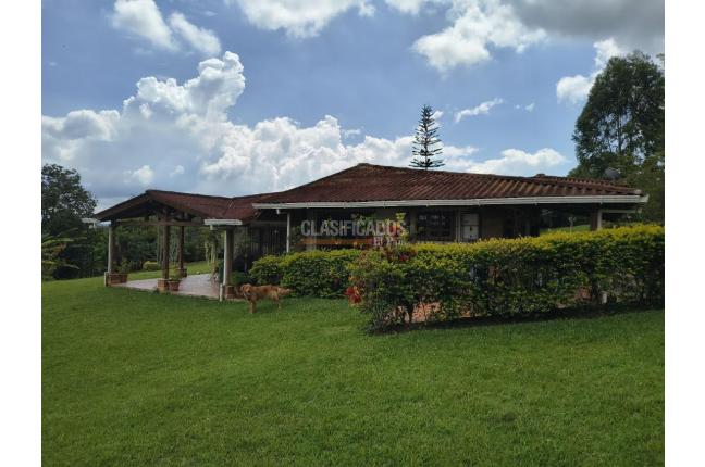 Fincas y Casas Campestres, Venta, Calima (Darién) - $720.000.000