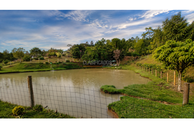 Fincas y Casas Campestres, Venta, Dagua - $850.000.000