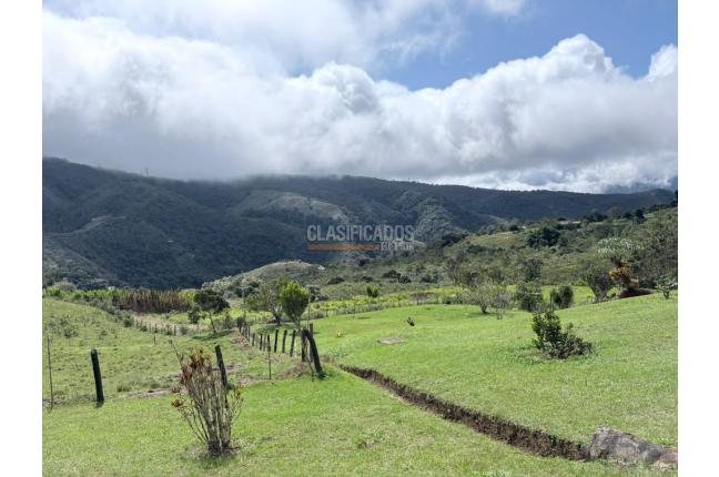 Fincas y Casas Campestres, Venta en Dagua