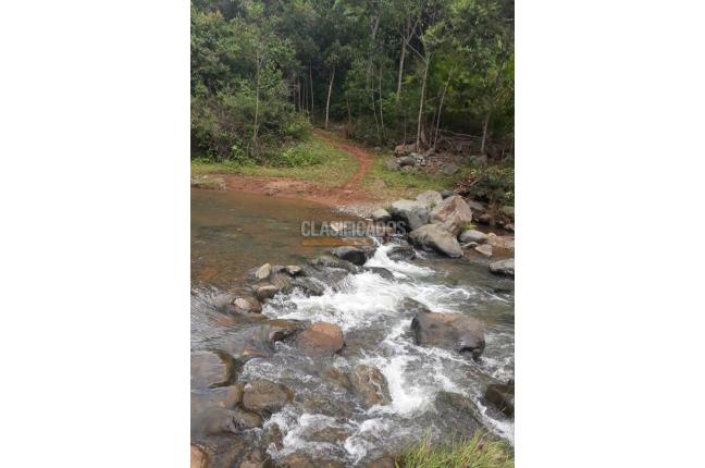 Lotes, Venta, Dagua - $165.000.000