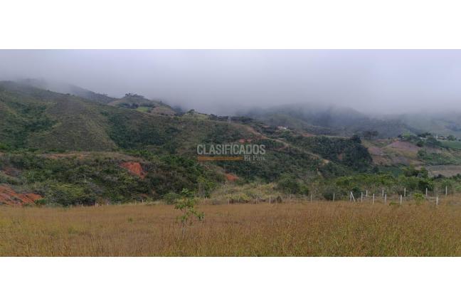 Lotes, Venta, Dagua - $165.000.000