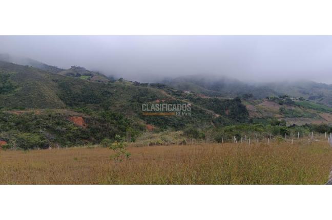 Lotes, Venta, Dagua - $165.000.000