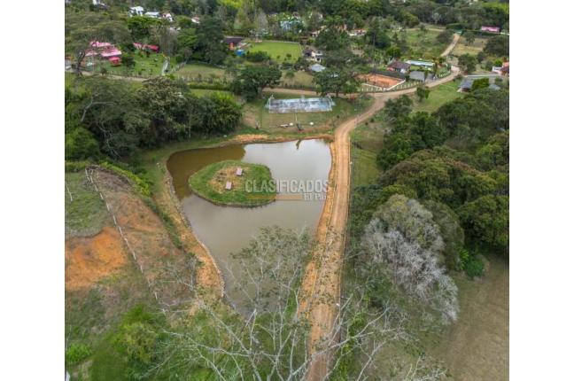 Lotes, Venta, Dagua - $290.000.000