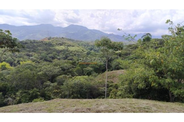 Lotes, Venta, Pance - $700.000.000