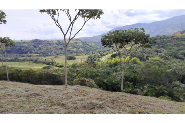 Lotes, Venta, Pance - $700.000.000