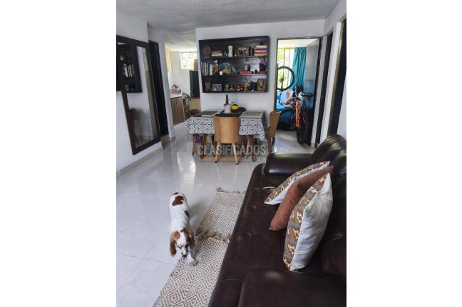 Apartamentos, Venta, Paso del Comercio - $165.000.000