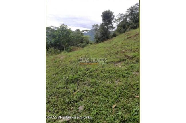 Lotes, Venta en Sasaima