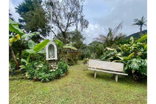 Fincas y Casas Campestres, Venta, Dagua - $1.600.000.000