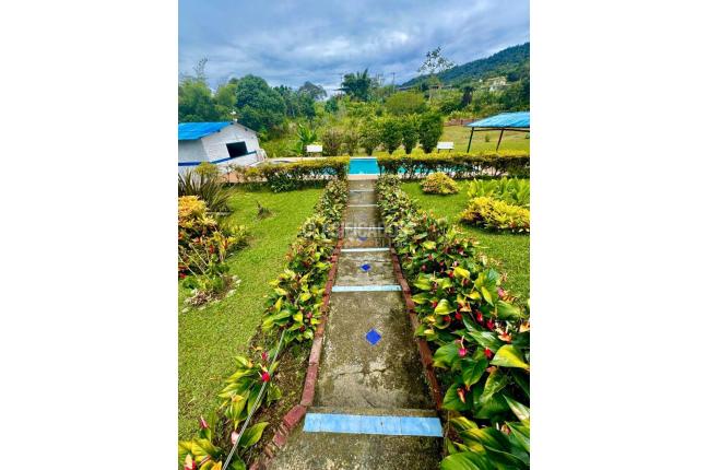 Fincas y Casas Campestres, Venta, Dagua - $500.000.000