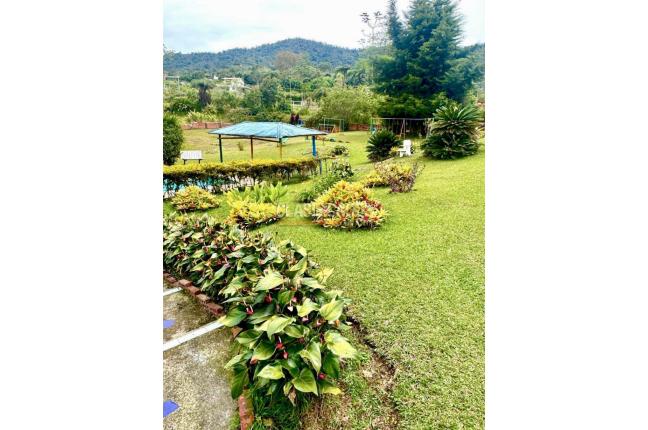 Fincas y Casas Campestres, Venta, Dagua - $500.000.000