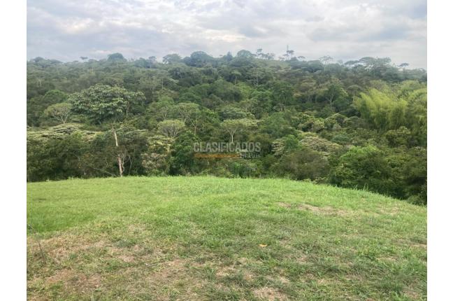 Lotes, Venta en Pance