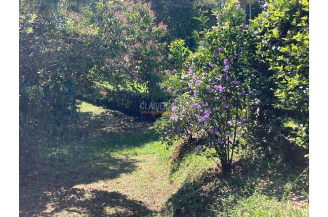 Lotes, Venta en Pance