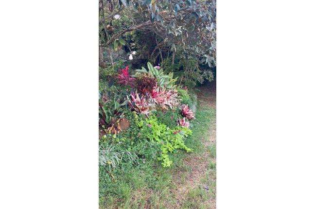 Lotes, Venta, Pance - $1.100.000.000