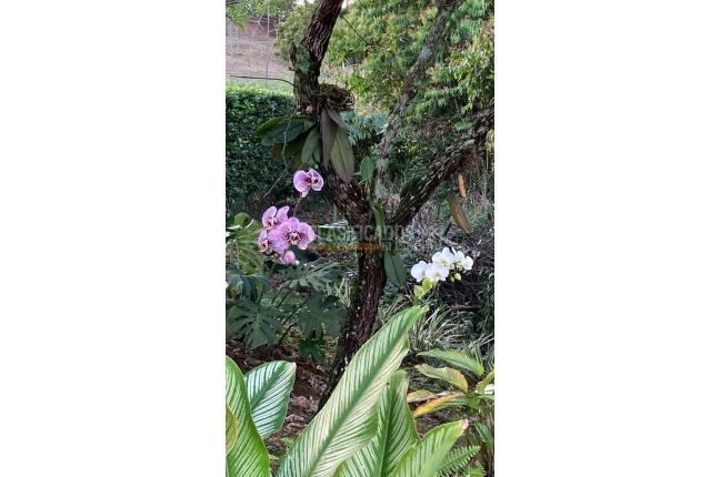 Lotes, Venta, Pance - $1.100.000.000
