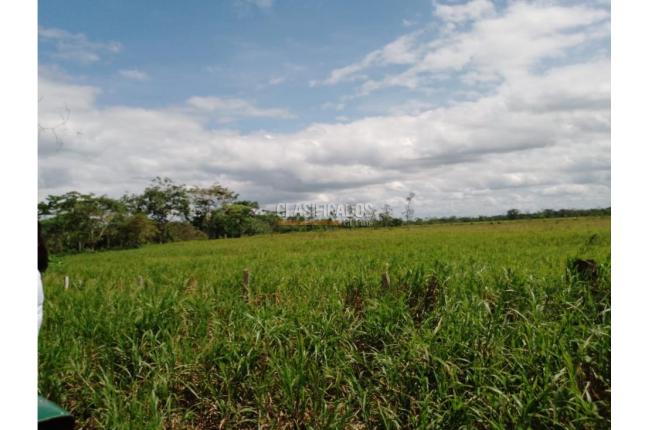 Lotes, Venta en Villavicencio