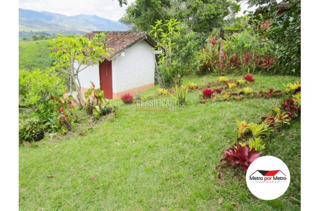 Fincas y Casas Campestres, Venta, Dagua - $800.000.000