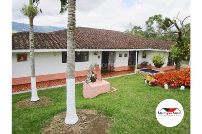 Fincas y Casas Campestres, Venta, Dagua - $800.000.000
