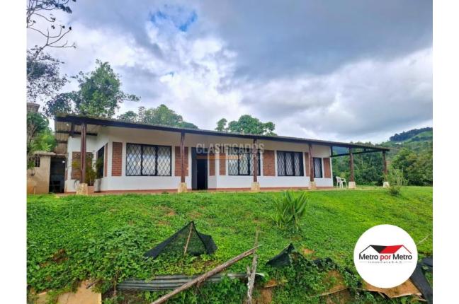 Fincas y Casas Campestres, Venta, Dagua - $300.000.000