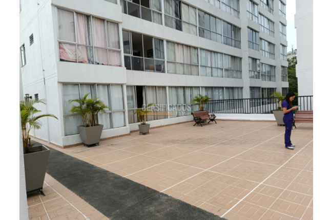 Apartamentos, Venta, Menga - $525.000.000