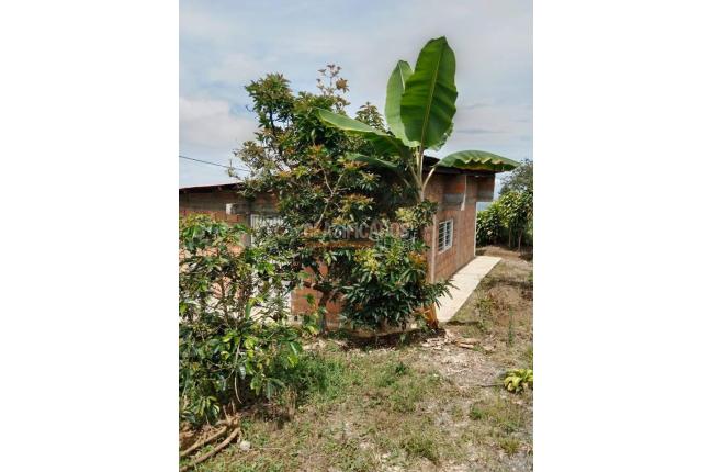 Fincas y Casas Campestres, Venta, Ginebra - $160.000.000