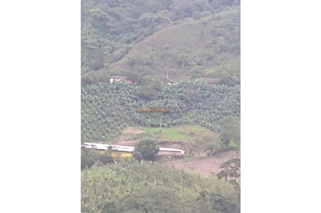 Fincas y Casas Campestres, Venta en Guacarí