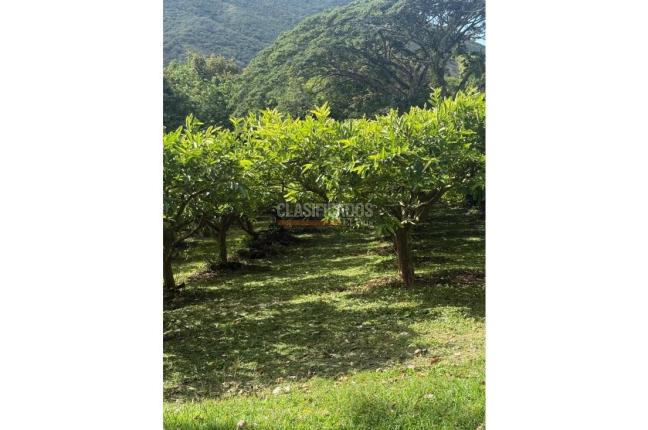 Fincas y Casas Campestres, Venta, La Unión - $1.400.000.000
