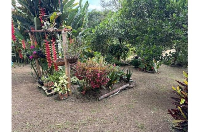 Fincas y Casas Campestres, Venta, Dagua - $280.000.000