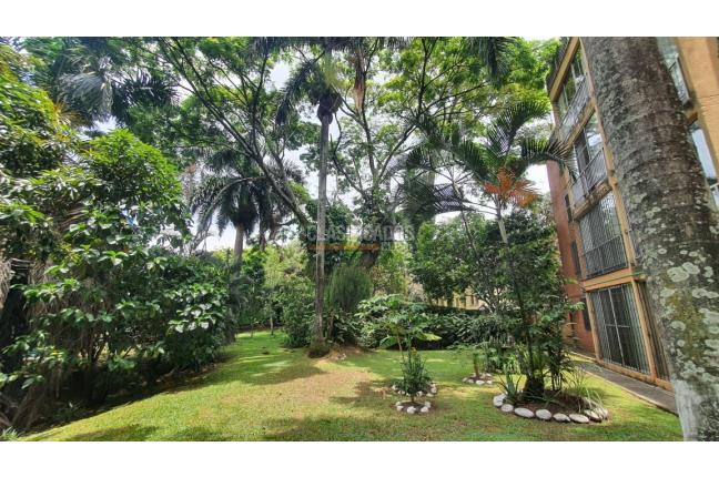 Apartamentos, Venta, Camino Real - $260.000.000