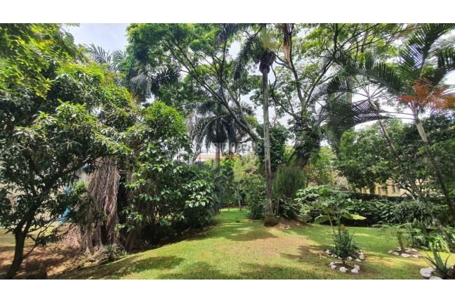 Apartamentos, Venta, Camino Real - $260.000.000