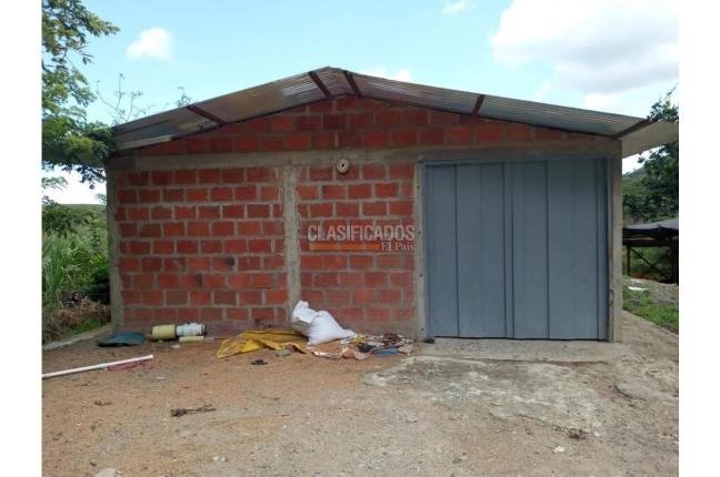 Fincas y Casas Campestres, Venta, Guacarí - $1.200.000.000