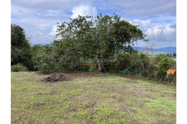 Lotes, Venta, Dagua - $235.000.000