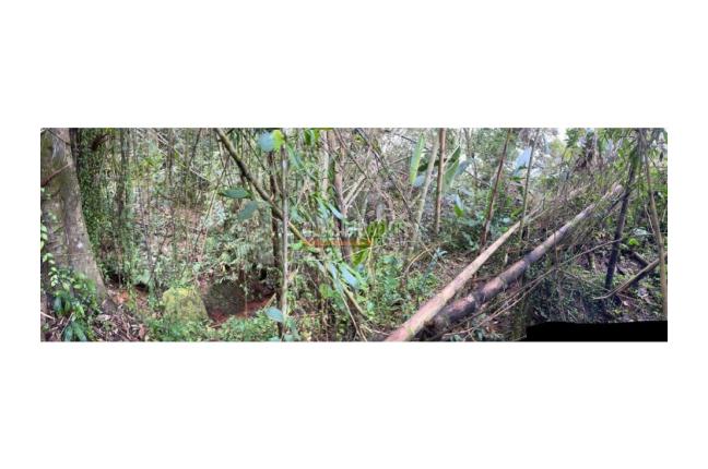 Lotes, Venta, Dagua - $235.000.000