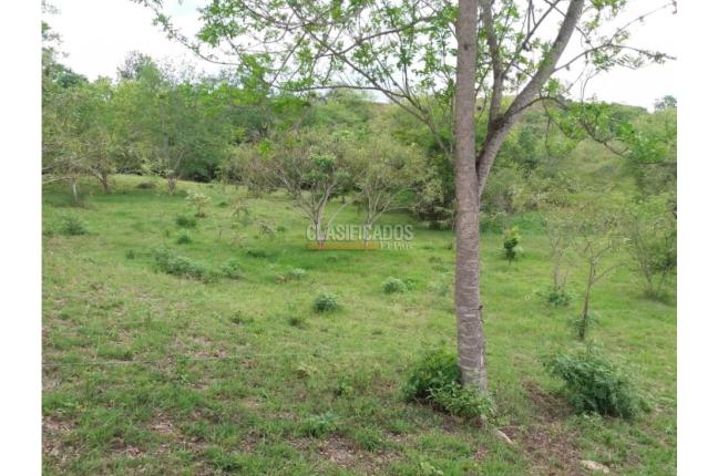 Lotes, Venta, Vijes - $350.000.000