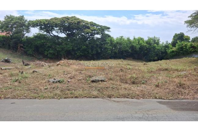 Lotes, Venta en Pance