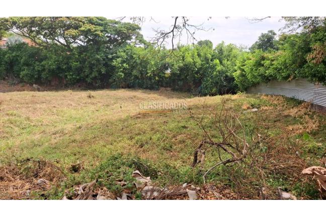 Lotes, Venta, Pance - $2.000.000.000