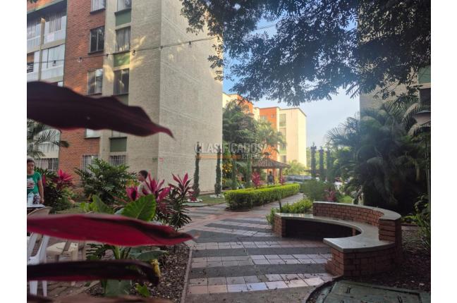 Apartamentos, Venta, Pacará - $265.000.000