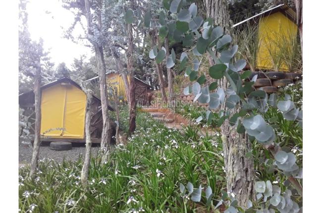 Fincas y Casas Campestres, Venta, Dapa - $2.300.000