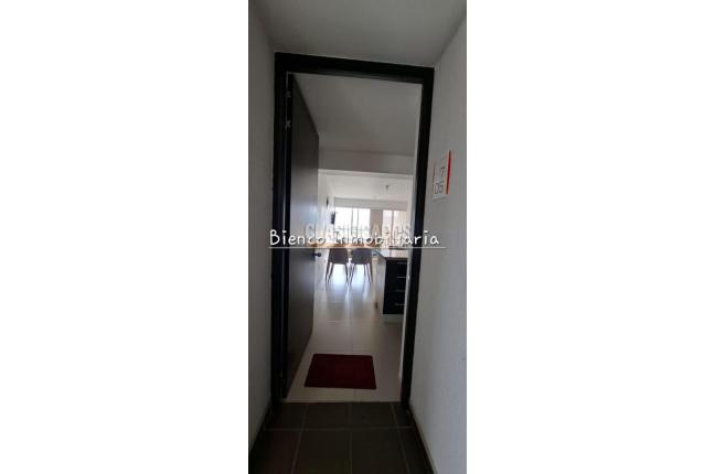 Apartamentos, Alquiler en Floridablanca