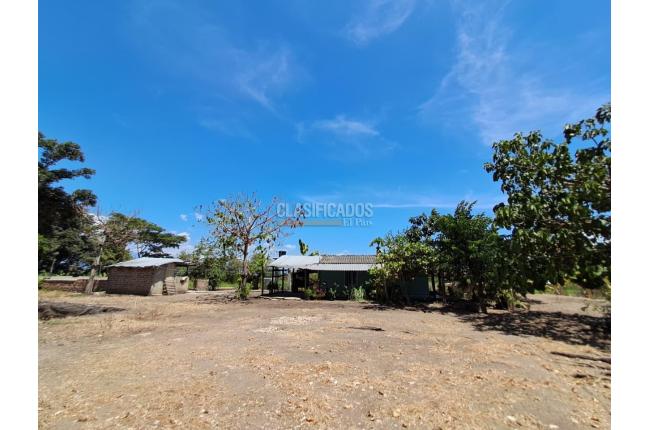 Fincas y Casas Campestres, Venta en Florida