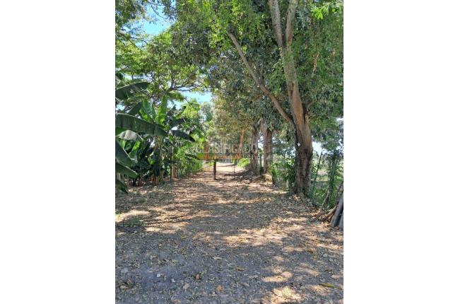 Fincas y Casas Campestres, Venta en Florida