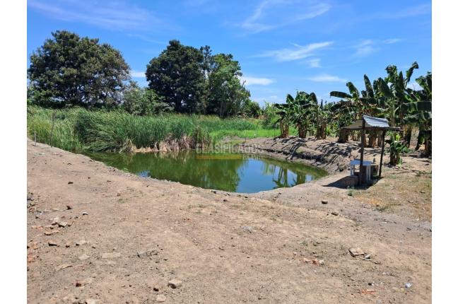 Fincas y Casas Campestres, Venta, Florida - $599.000.000