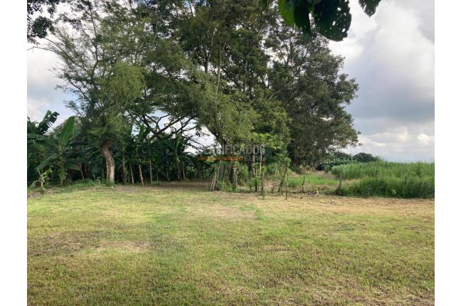 Fincas y Casas Campestres, Venta, Florida - $599.000.000