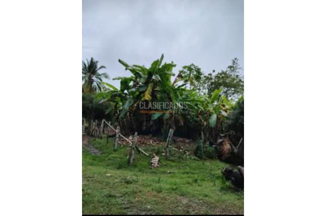 Fincas y Casas Campestres, Venta en Suarez