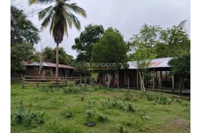 Fincas y Casas Campestres, Venta en Suarez