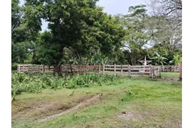 Fincas y Casas Campestres, Venta en Suarez