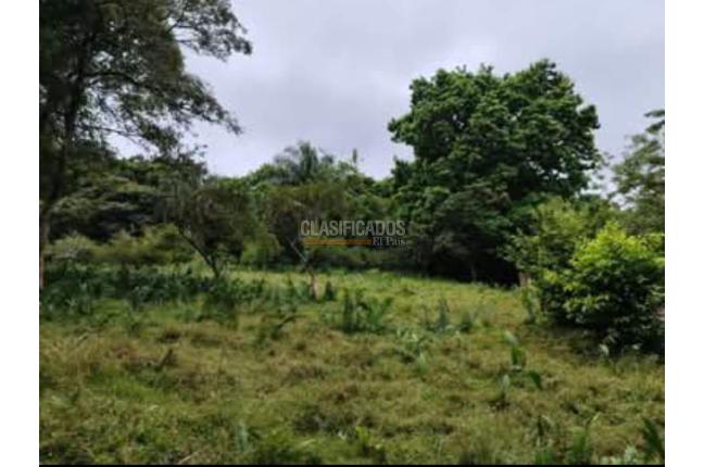 Fincas y Casas Campestres, Venta, Suarez